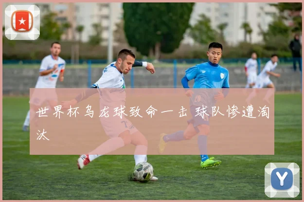 世界杯乌龙球致命一击 球队惨遭淘汰