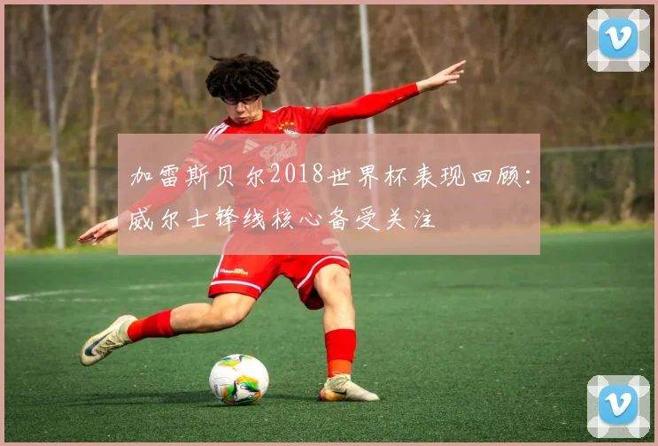 加雷斯贝尔2018世界杯表现回顾:威尔士锋线核心备受关注