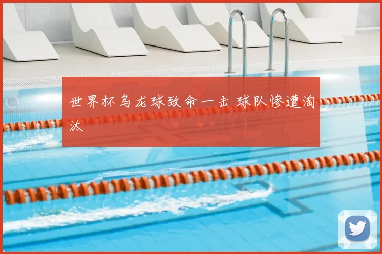世界杯乌龙球致命一击 球队惨遭淘汰
